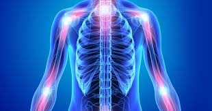 How to Combat Inflammation in the Body RIZZARR